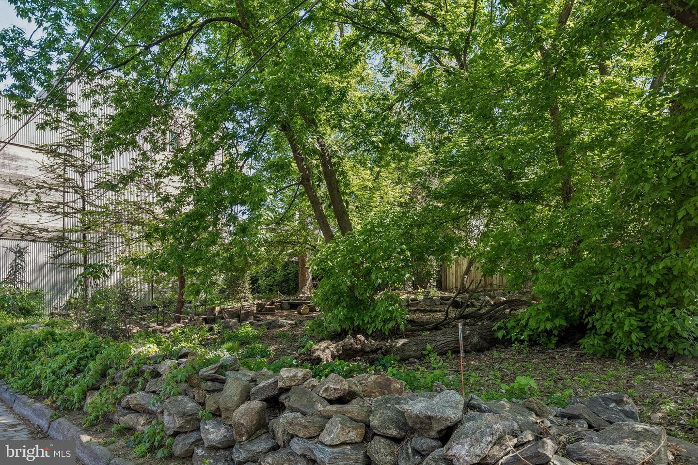 817 N Orkney Street photo 80