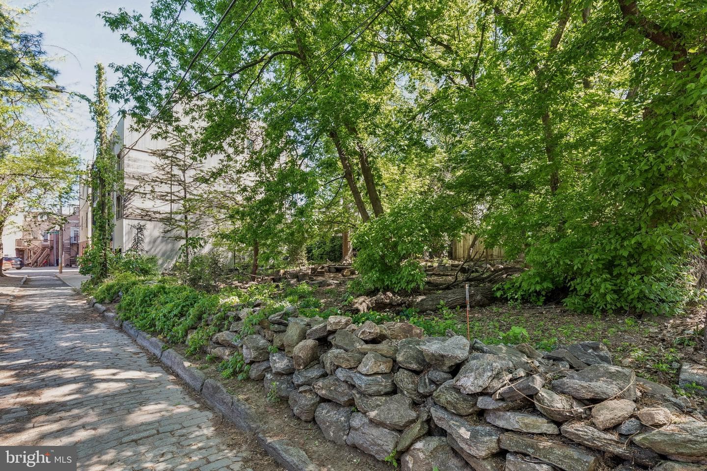 817 N Orkney Street photo 81
