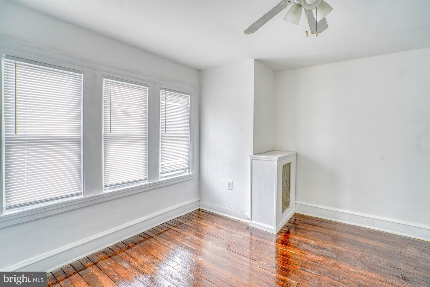 6516 Tulip Street photo 22