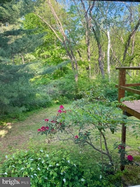 9033 Lykens Lane photo 30