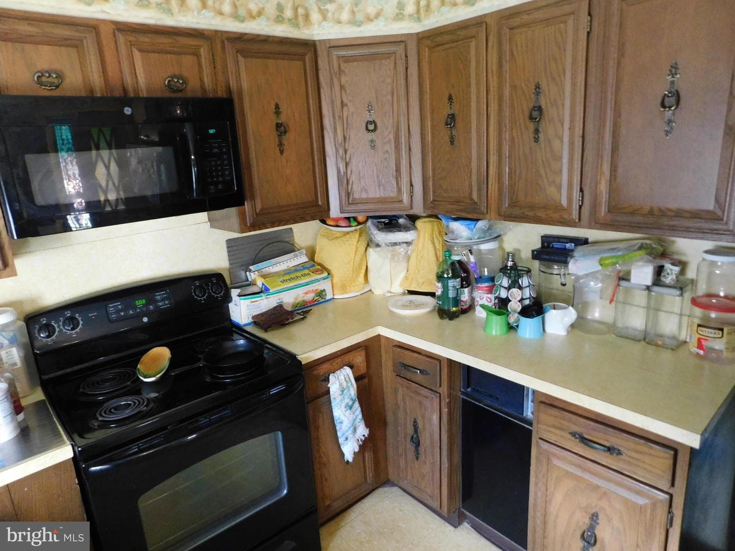 8020 Thouron Avenue photo 12