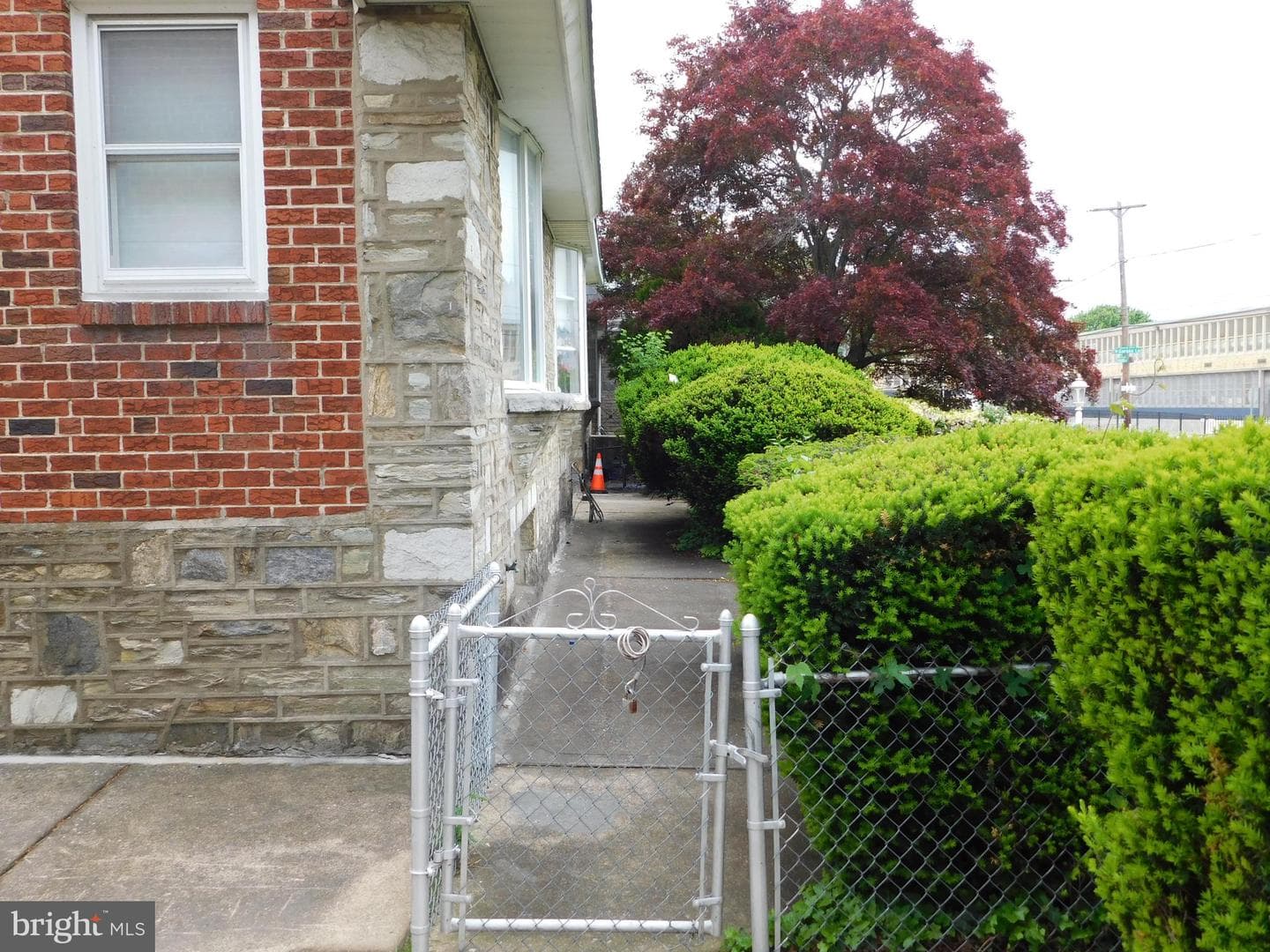 8020 Thouron Avenue photo 22