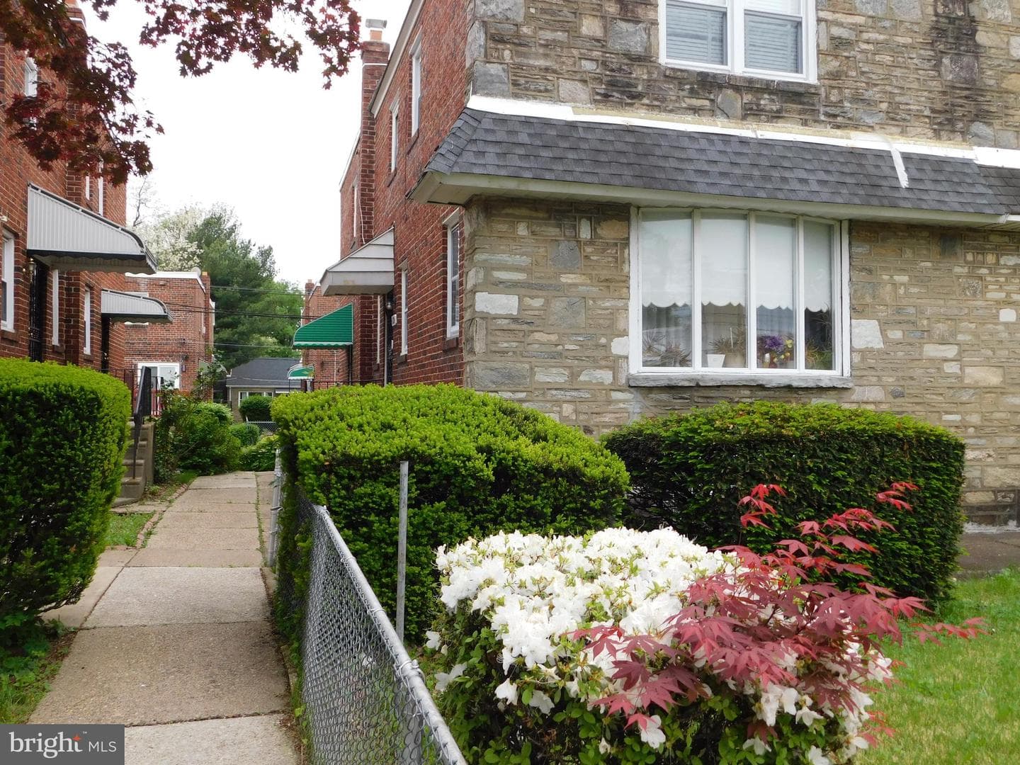8020 Thouron Avenue photo 4