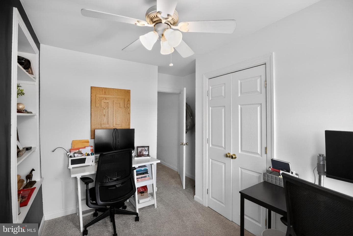 259 Lauriston Street photo 18