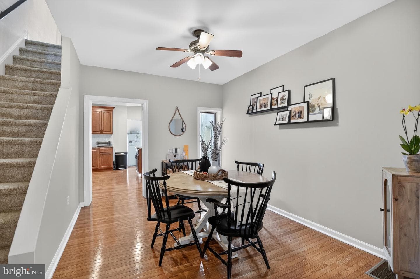 259 Lauriston Street photo 6