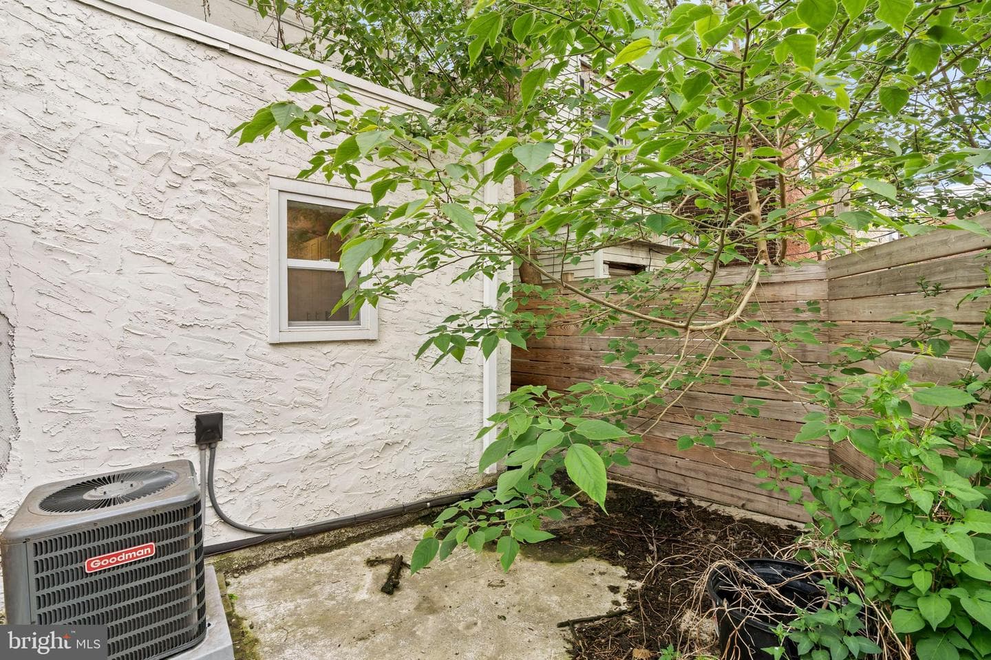 531 Hoffman Street photo 15