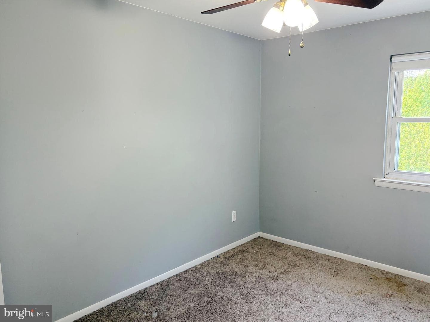 12518 Fedor Place photo 14