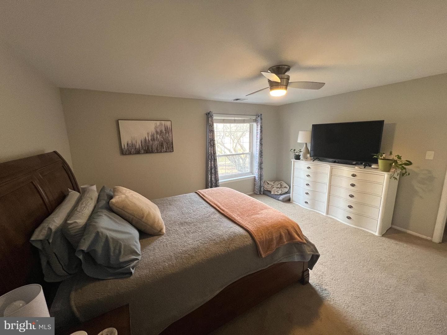 4000 Gypsy Lane #247b photo 12