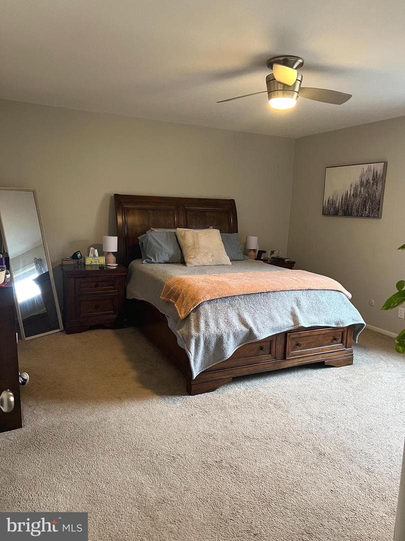 4000 Gypsy Lane #247b photo 13