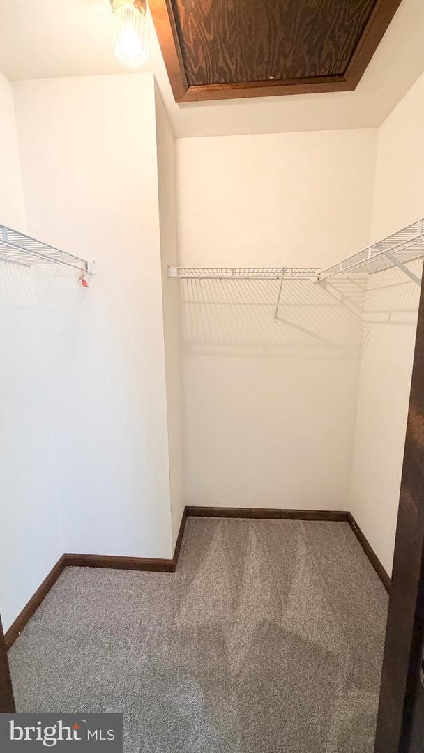 402 Solly Ave photo 13