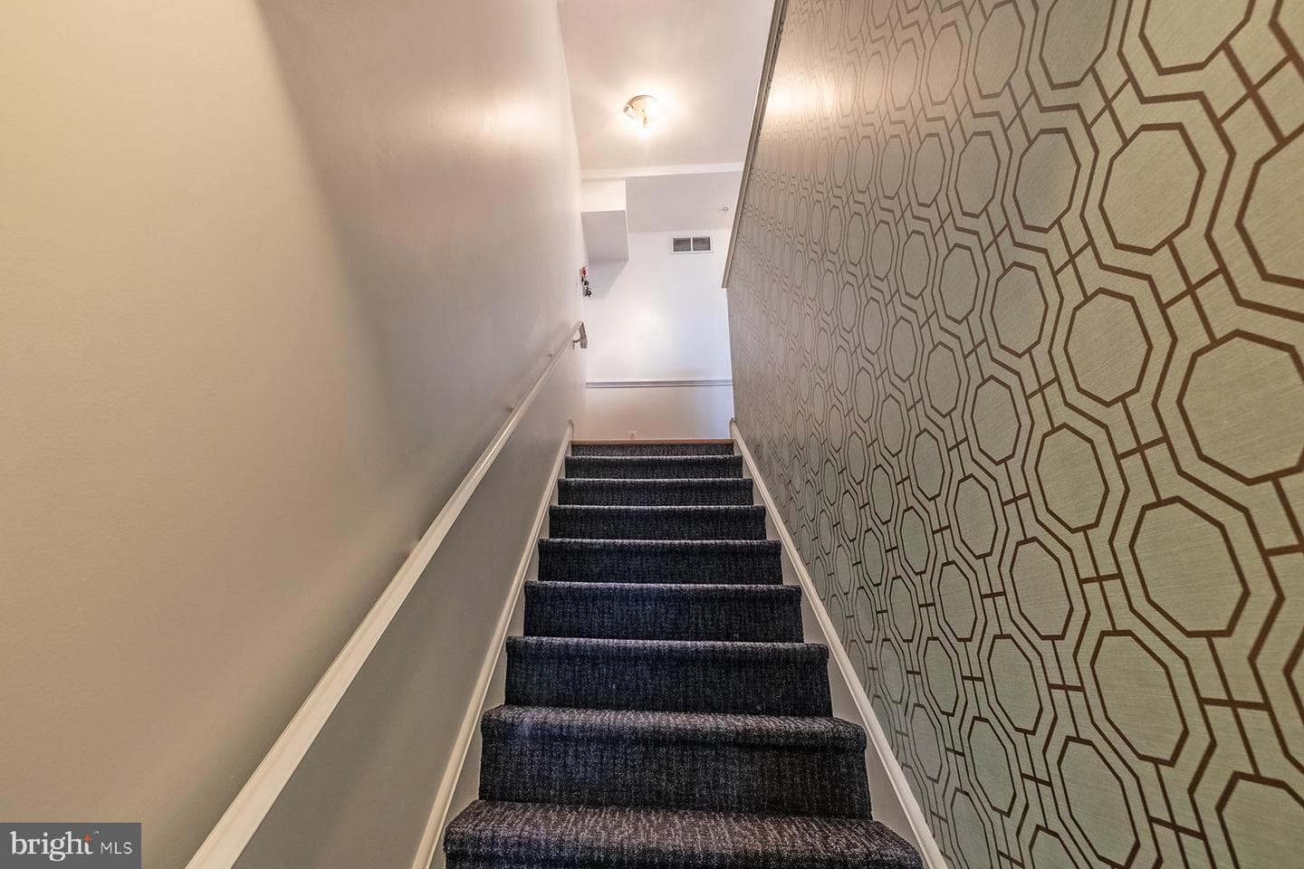 723 Bainbridge Street #d photo 3