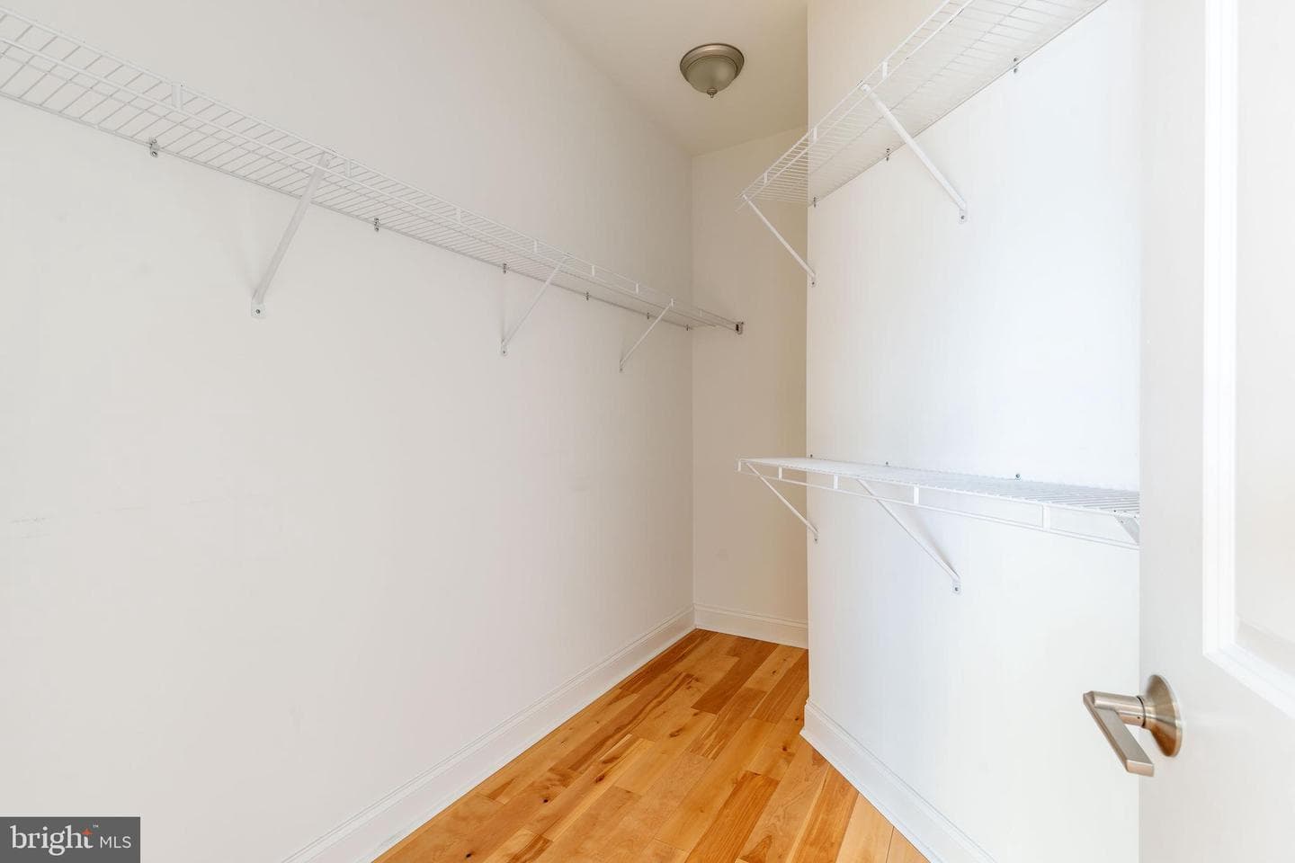 6709 Pechin Street photo 24