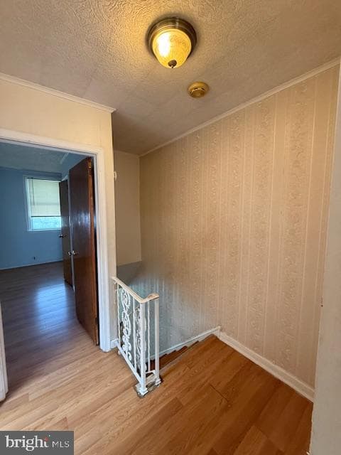 6628 Cottage Street photo 9