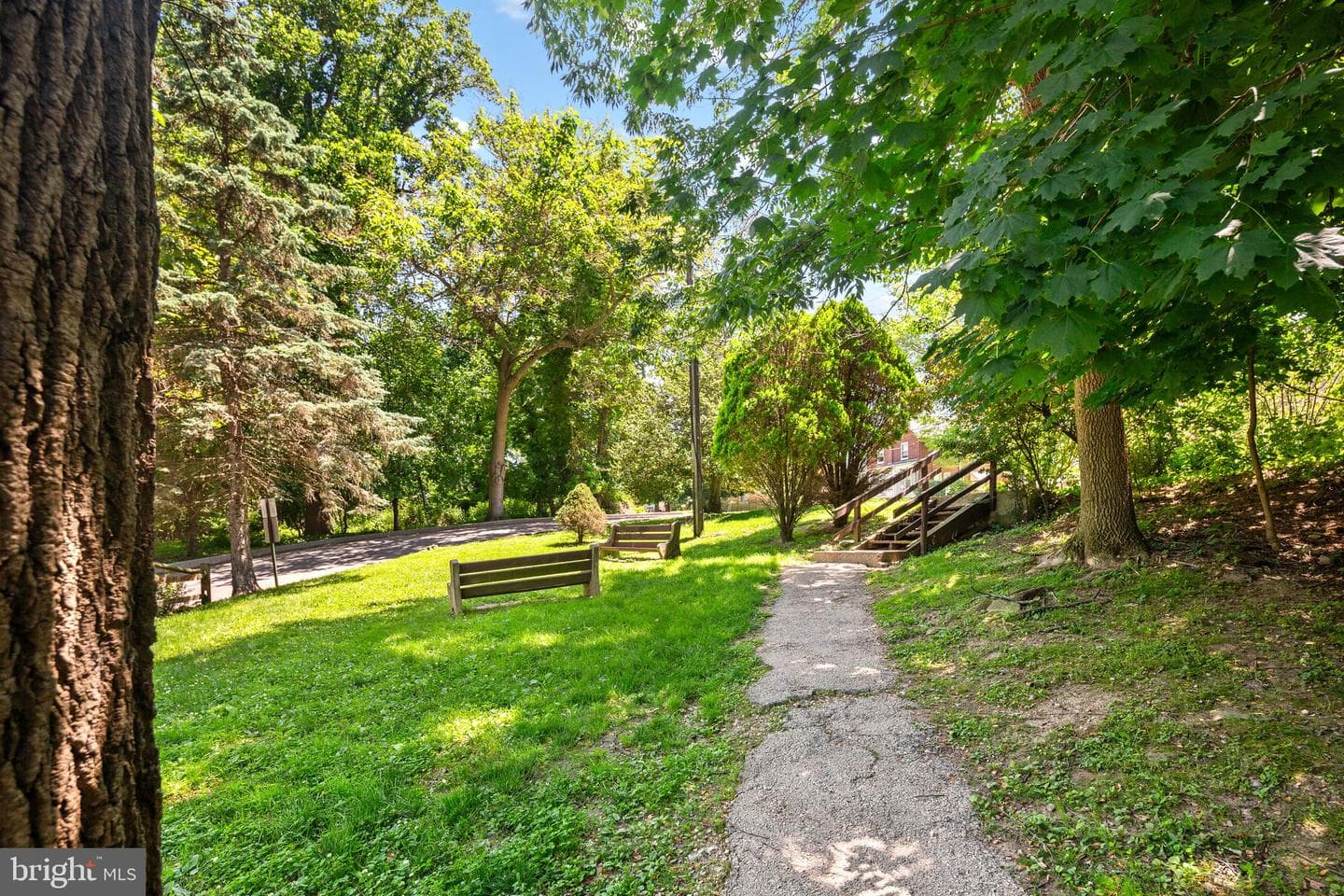 401 Shawmont Avenue #b photo 17