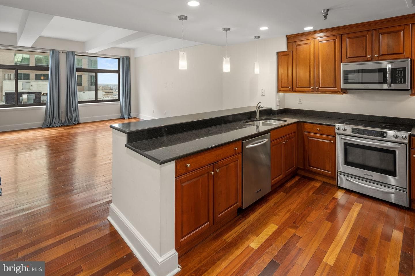 1500 Chestnut St # 20I photo 5