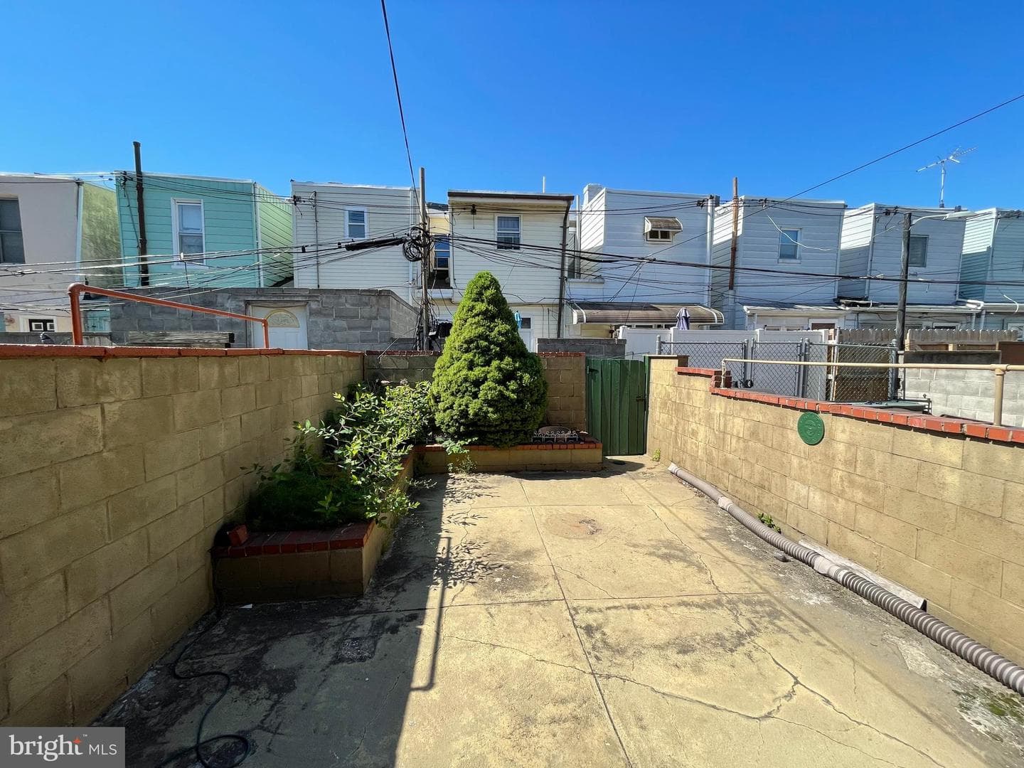 344 Wolf Street photo 7