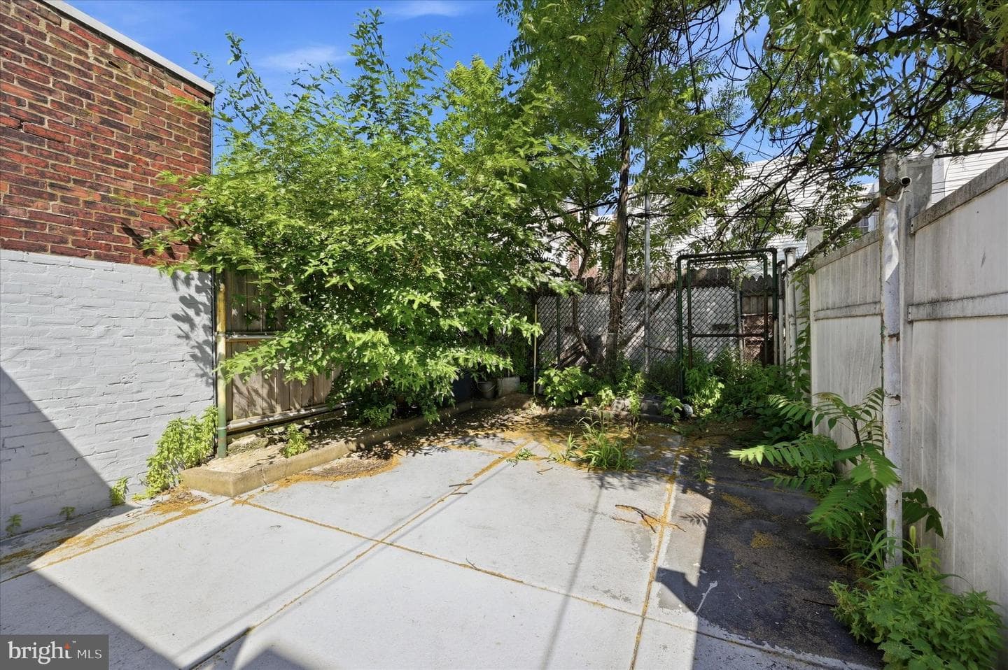 3052 Aramingo Avenue photo 15