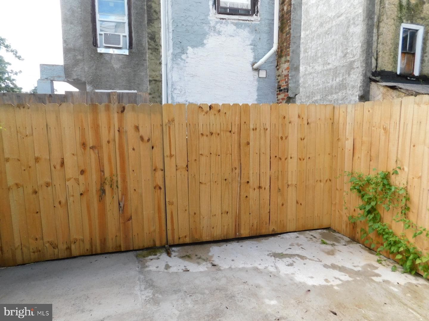 2238 W Master Street photo 6