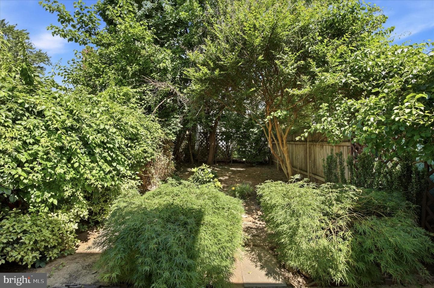 424 Martin Street photo 12