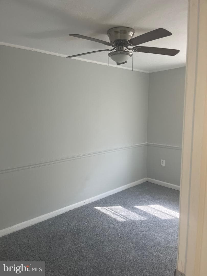 4559 Aldine Street photo 12