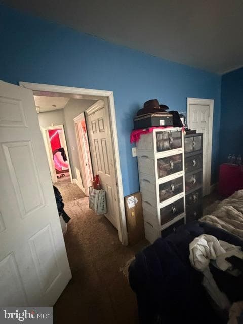 1134 S 56th Street photo 28