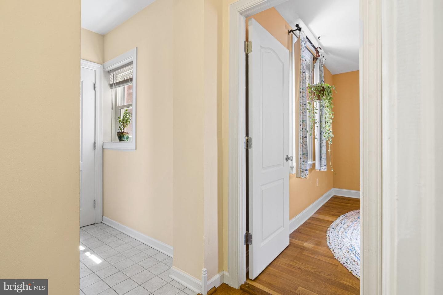 3910 Baring Street photo 30