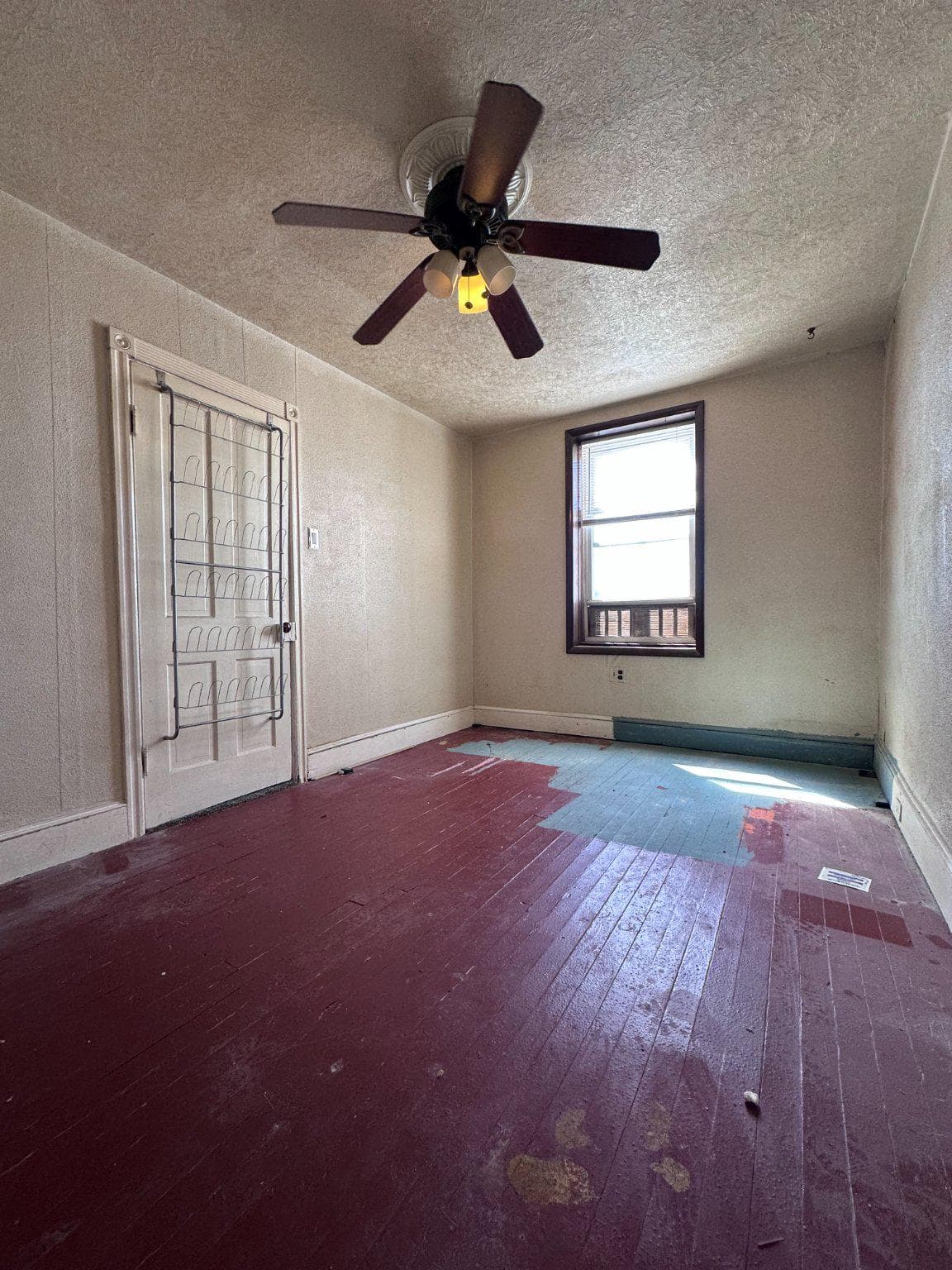 3607 Witte Street photo 21