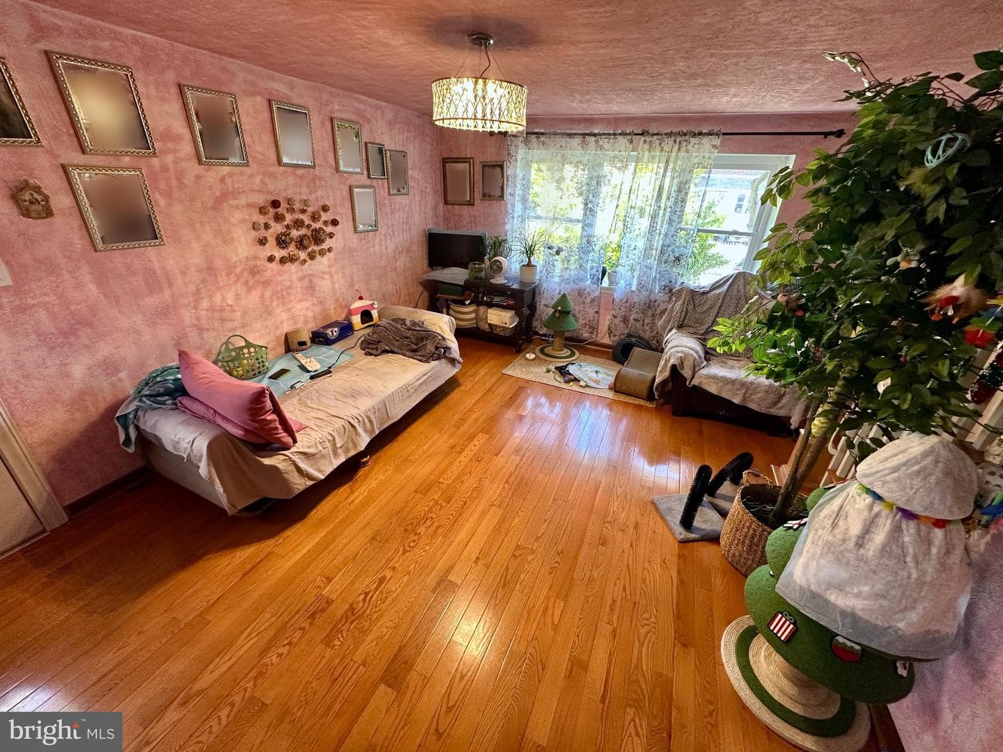 1800 Megargee Street photo 10