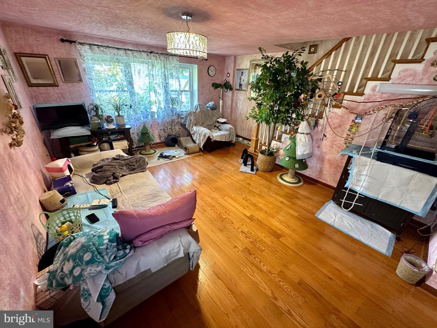 1800 Megargee Street photo 11