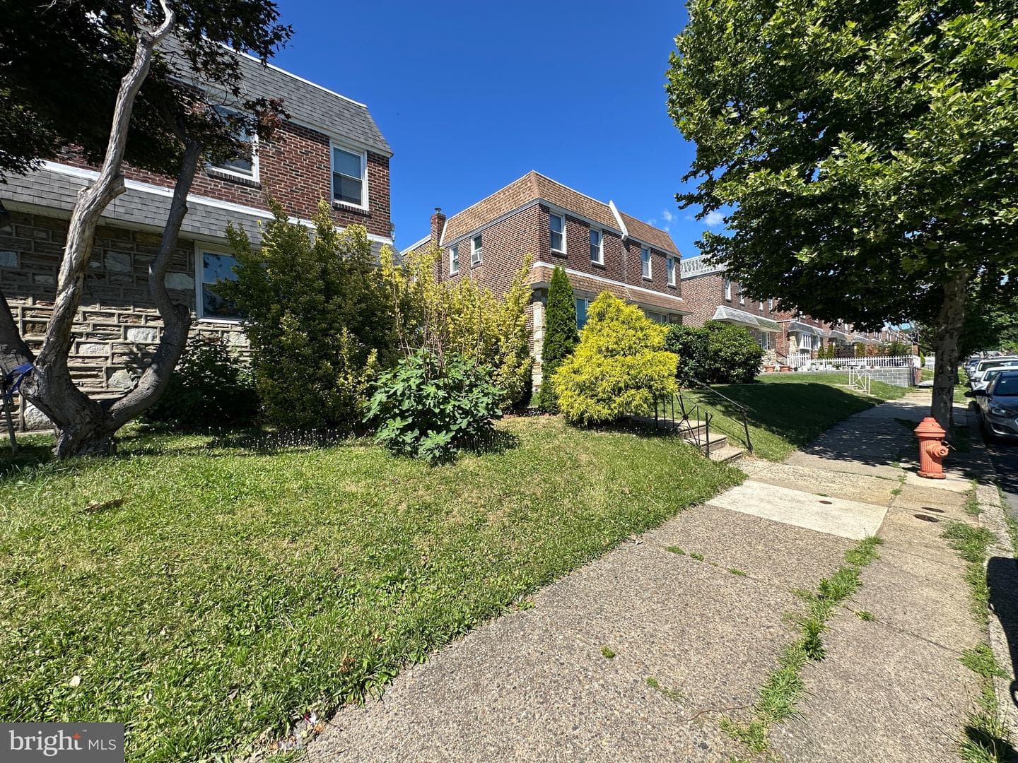 1800 Megargee Street photo 3