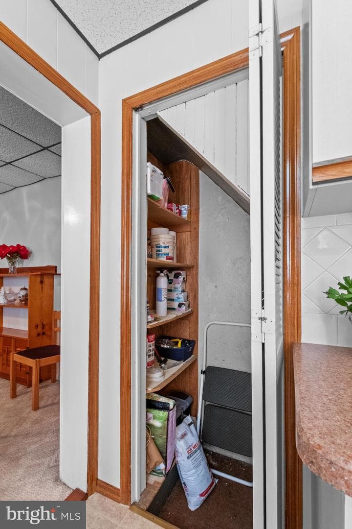 4227 Pechin Street photo 14