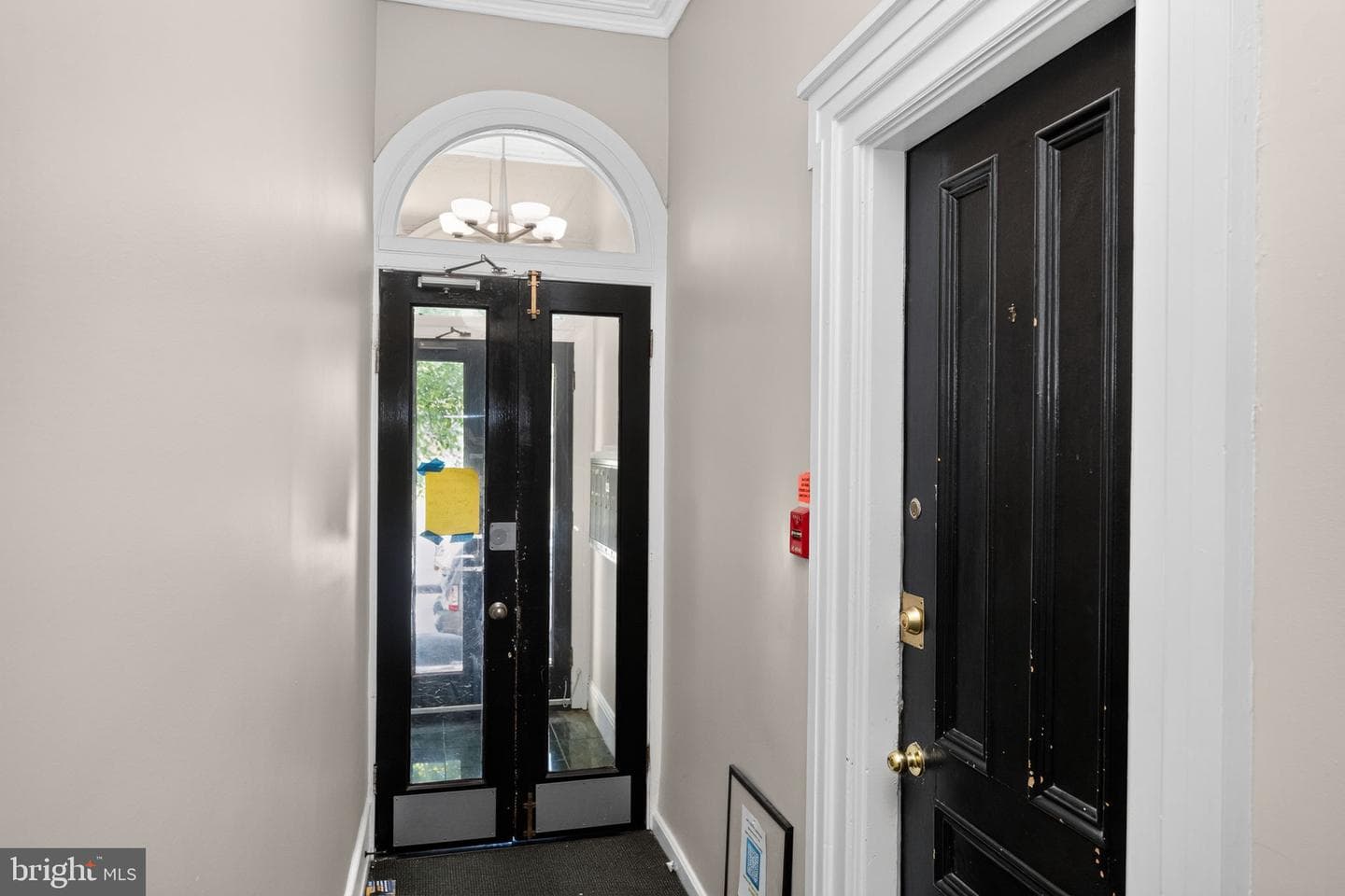 1828 Green Street #3r photo 4