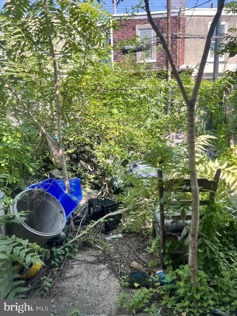 3130 Weikel Street photo 6