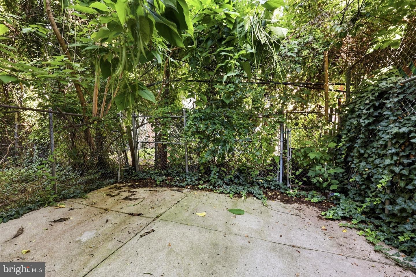 1326 N Wanamaker Street photo 13