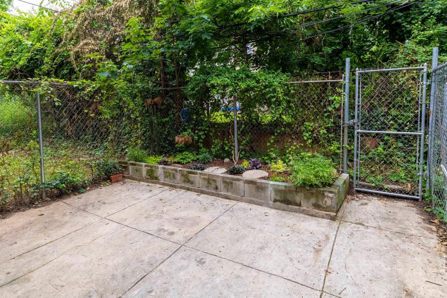 57 E Hortter Street photo 23