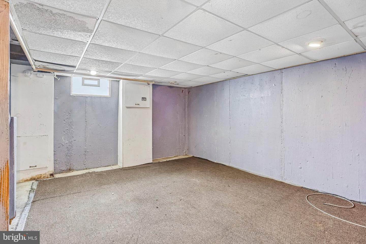 7339 Malvern Avenue photo 20