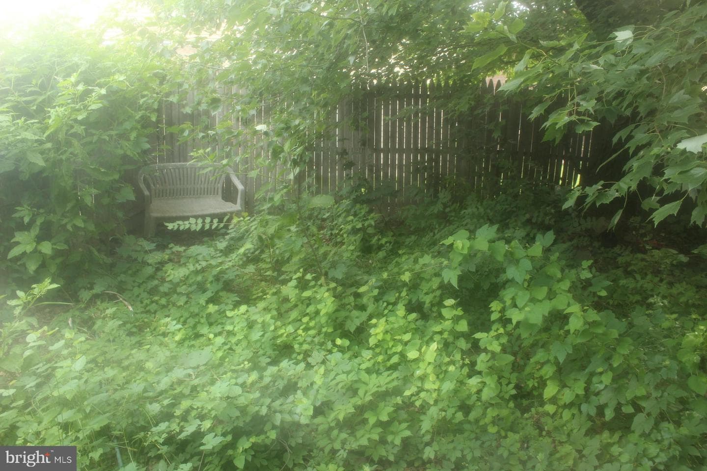 1107 Stewart Place photo 15