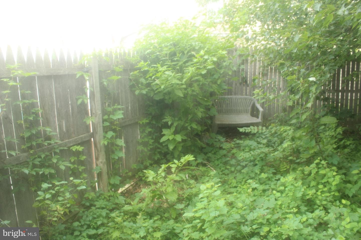1107 Stewart Place photo 16
