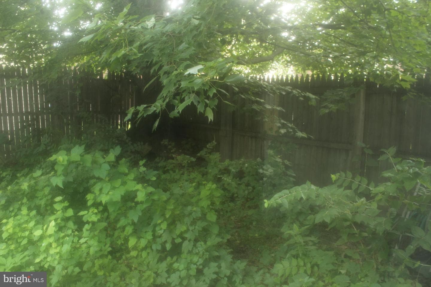 1107 Stewart Place photo 17