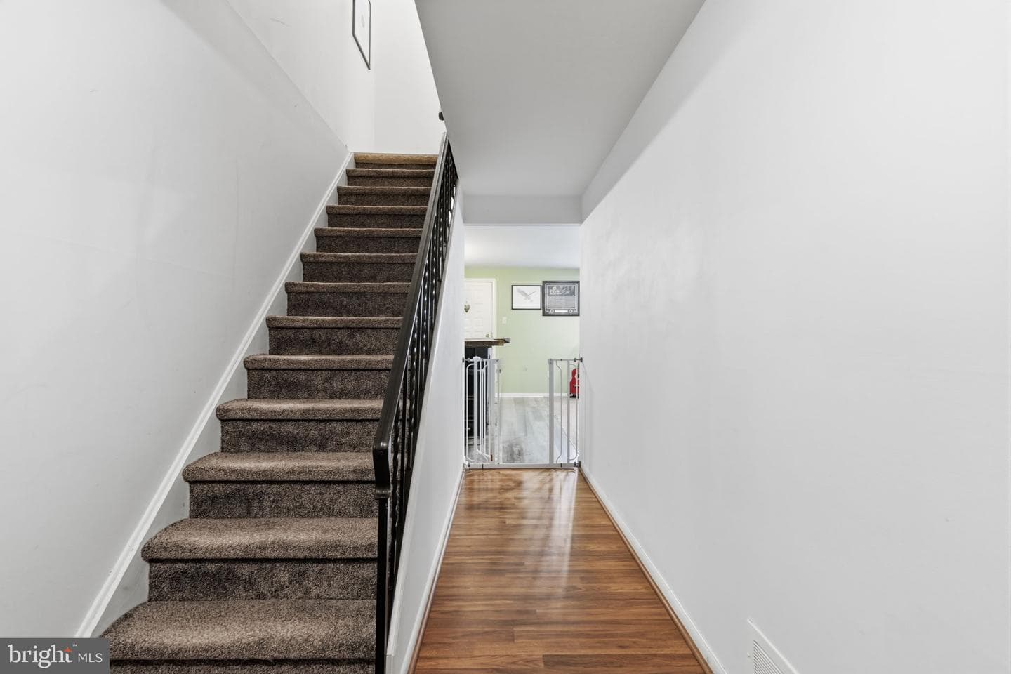 8206 Burholme Avenue photo 20
