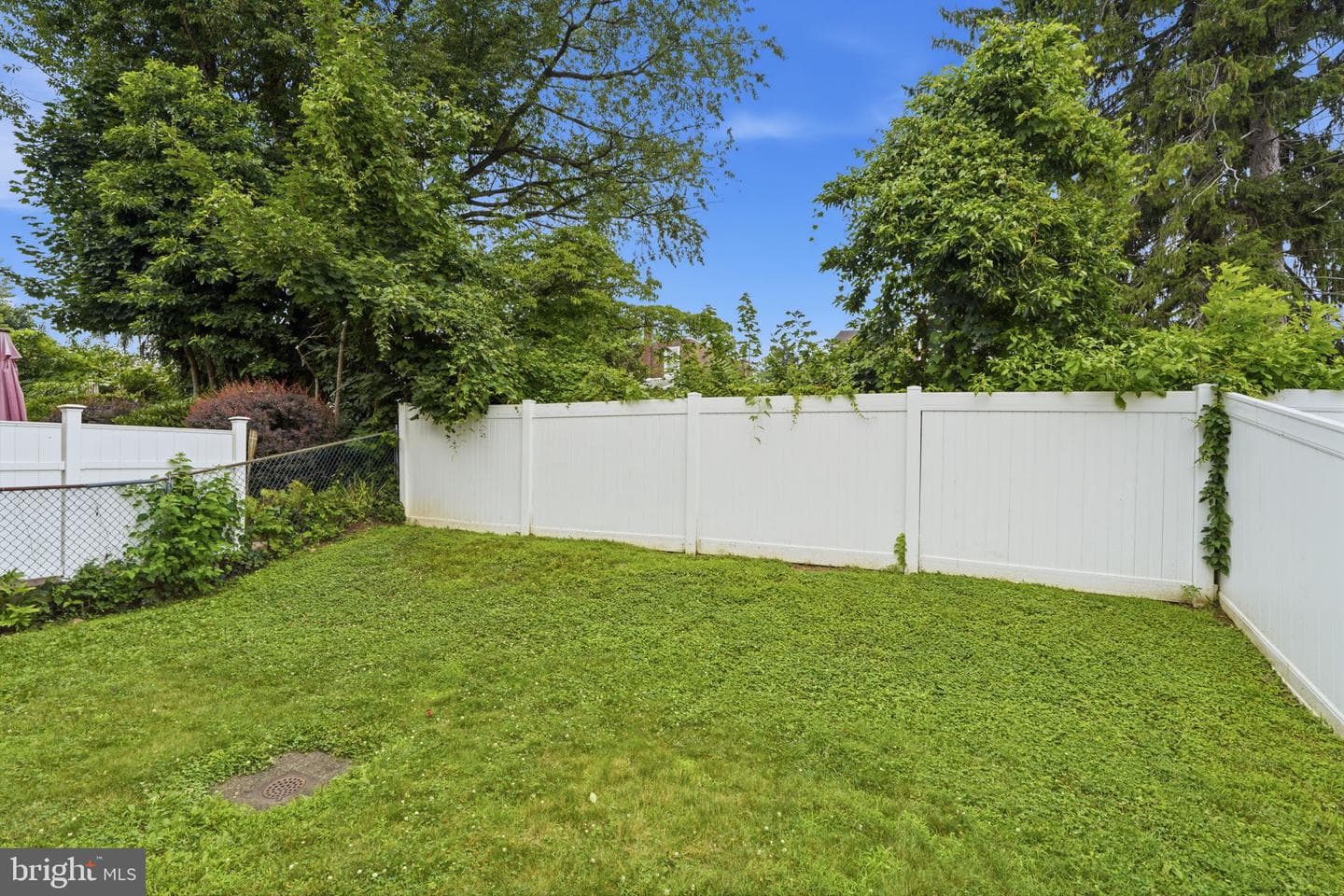 8206 Burholme Avenue photo 28