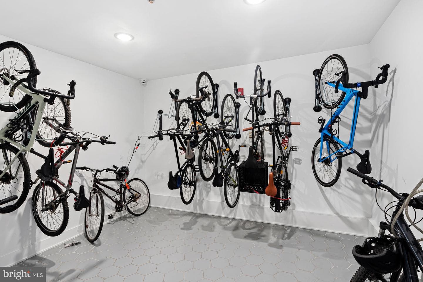 1723 Francis Street #3d photo 17