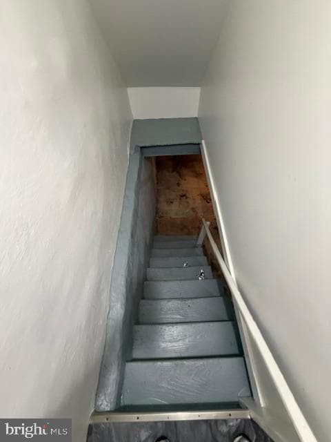 3041 Agate Street photo 16
