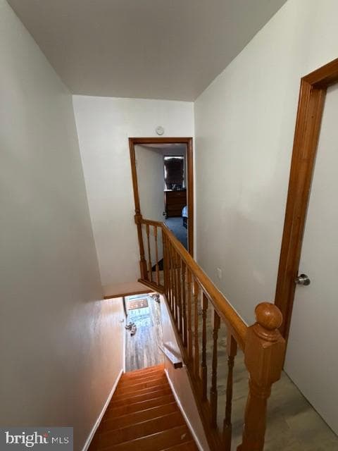 3041 Agate Street photo 19