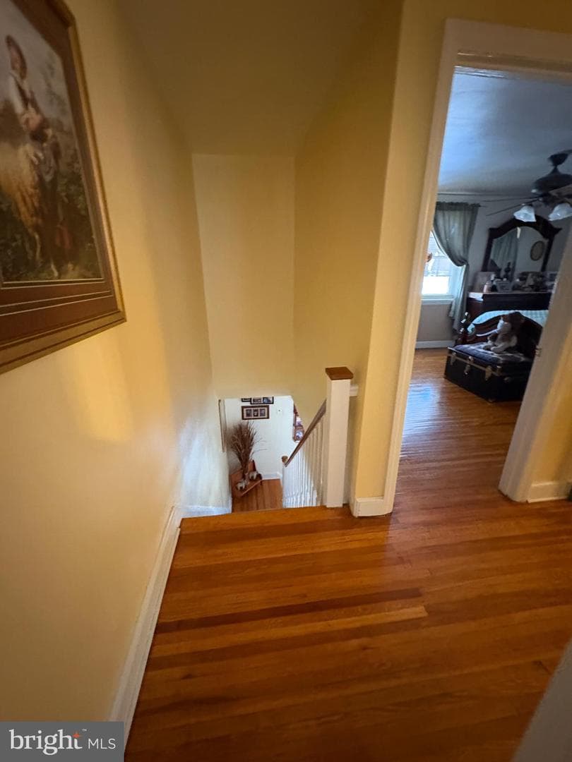 1214 Hale Street photo 26