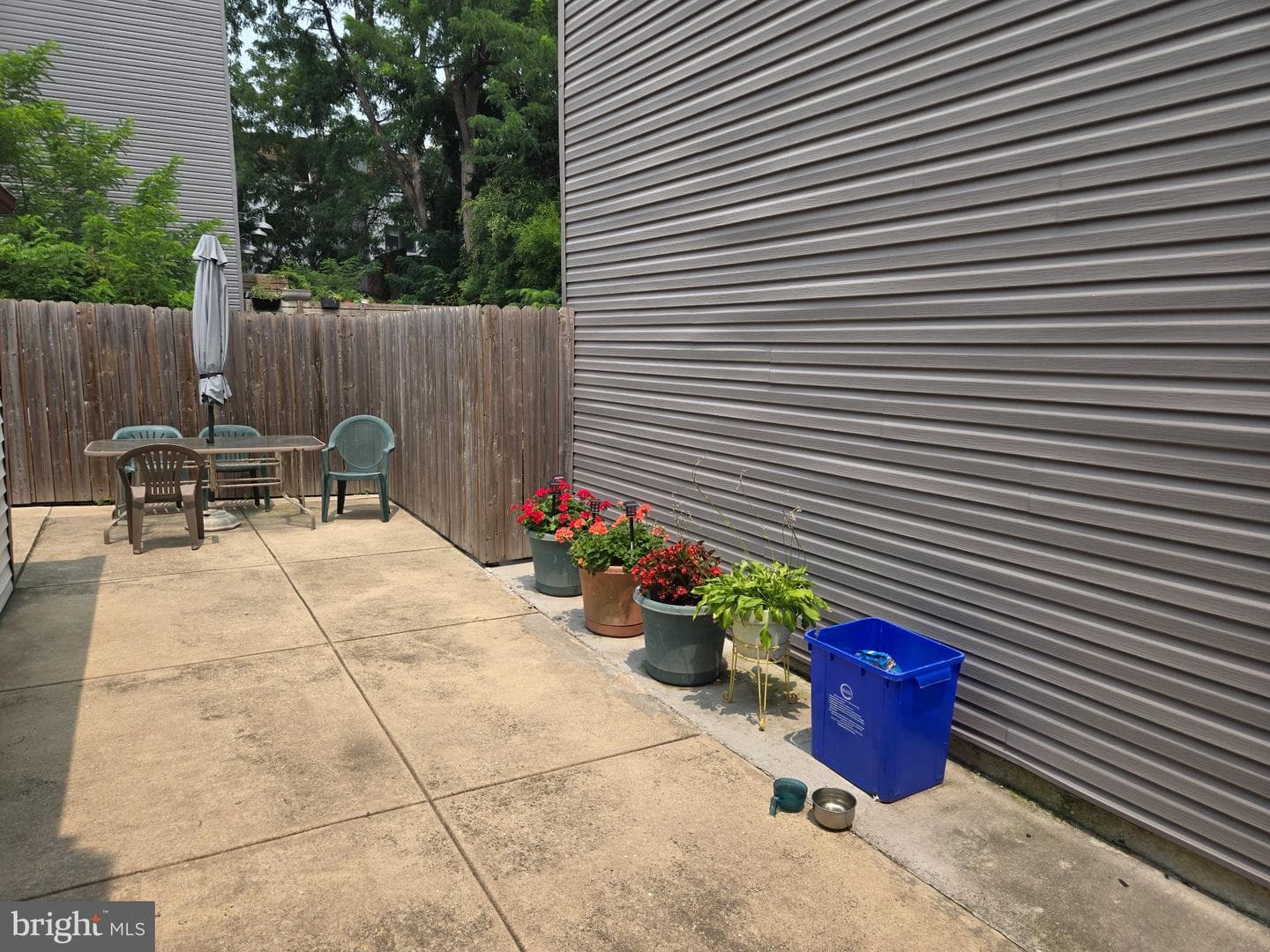 437 E Wildey Street photo 5