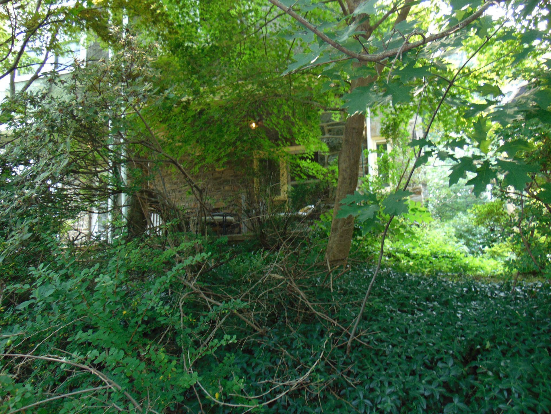 604 Allens Lane photo 3