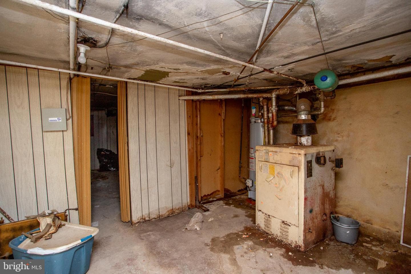 814 E Woodlawn Street photo 57