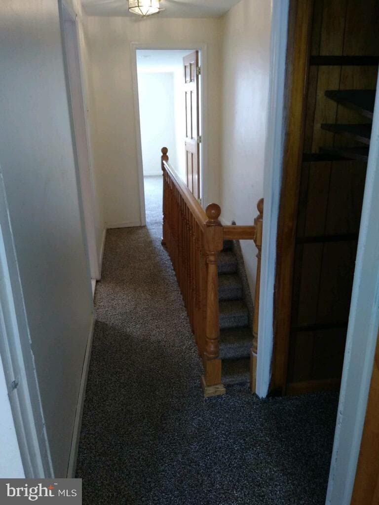 326 Daly Street photo 6
