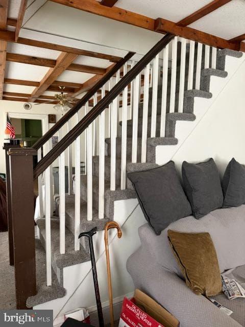 Pa photo 20